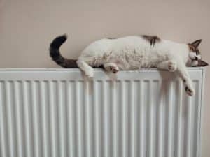 Decorating behind a radiator